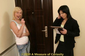 Story 8: The Sales Rep